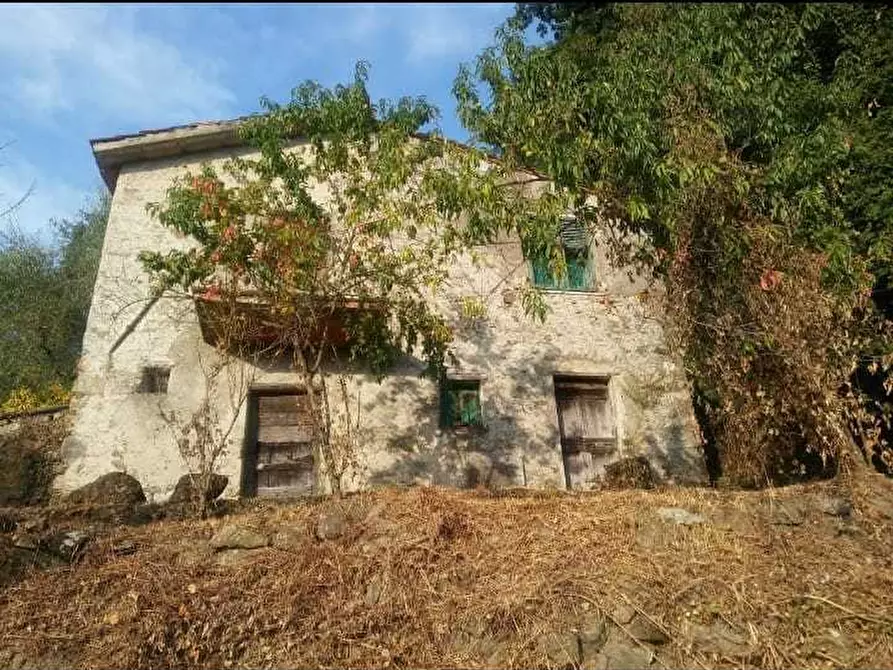 Immagine 4 di Casa indipendente in vendita  a Sarzana