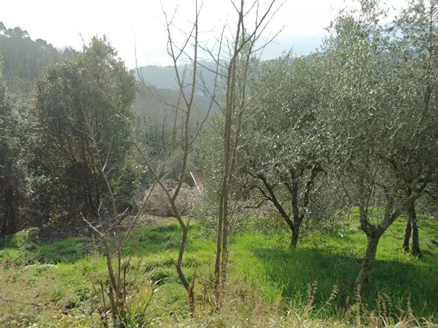Immagine 19 di Casa indipendente in vendita  a Sarzana