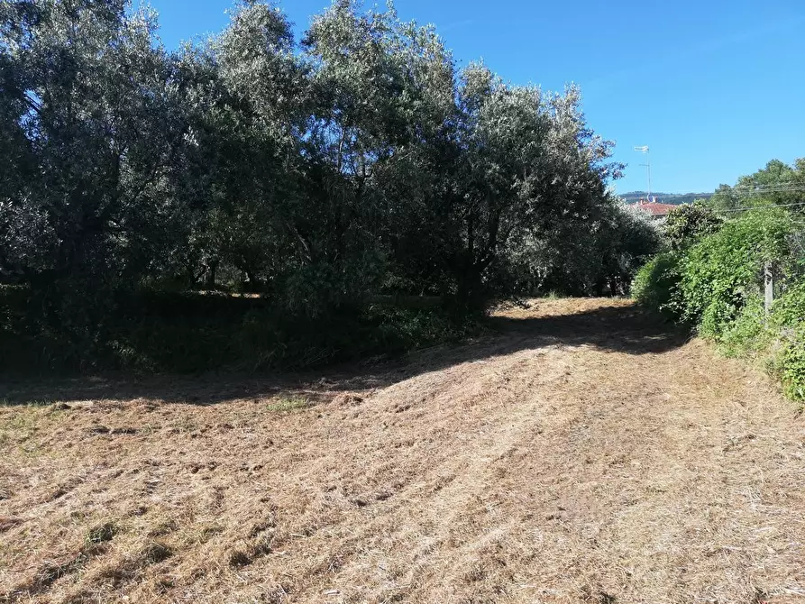 Immagine 75 di Casa indipendente in vendita  a Castelnuovo Magra