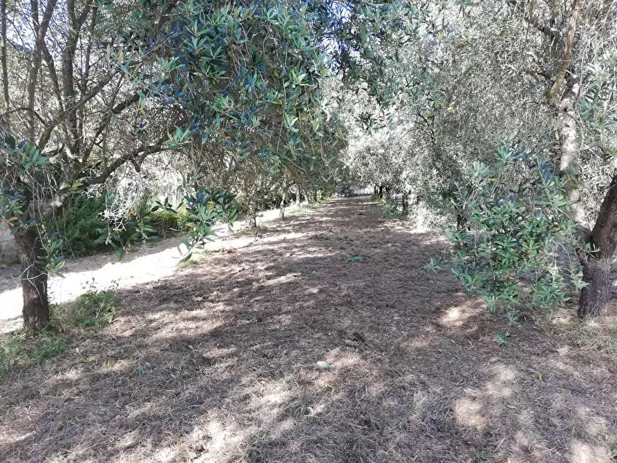 Immagine 76 di Casa indipendente in vendita  a Castelnuovo Magra