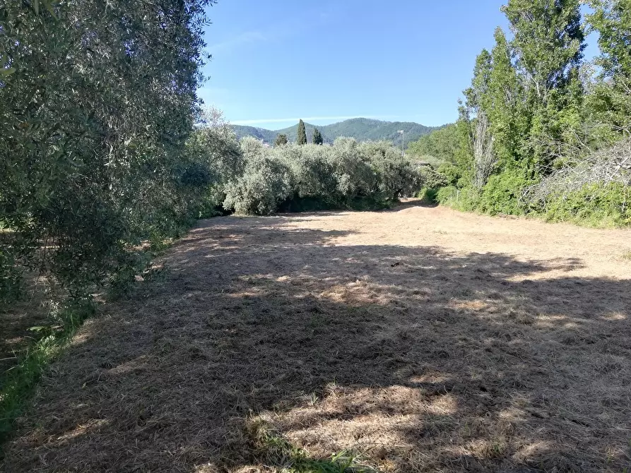 Immagine 70 di Casa indipendente in vendita  a Castelnuovo Magra