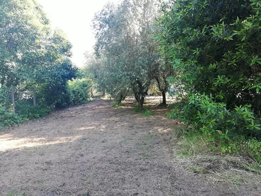 Immagine 72 di Casa indipendente in vendita  a Castelnuovo Magra