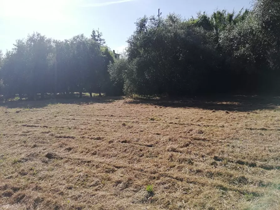 Immagine 74 di Casa indipendente in vendita  a Castelnuovo Magra