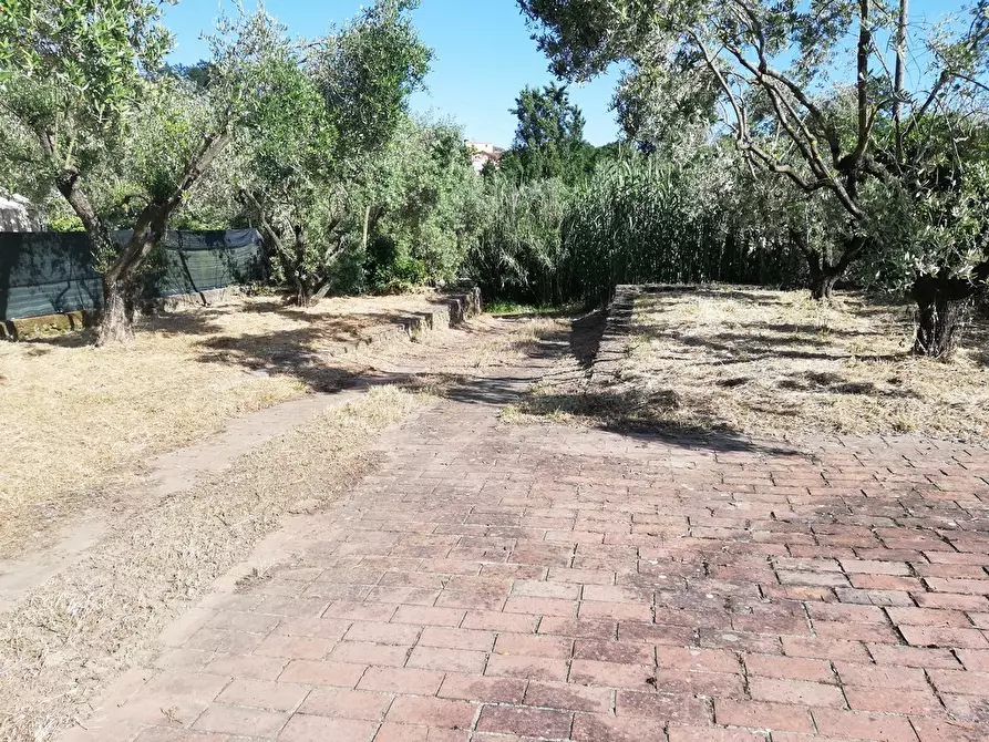 Immagine 78 di Casa indipendente in vendita  a Castelnuovo Magra