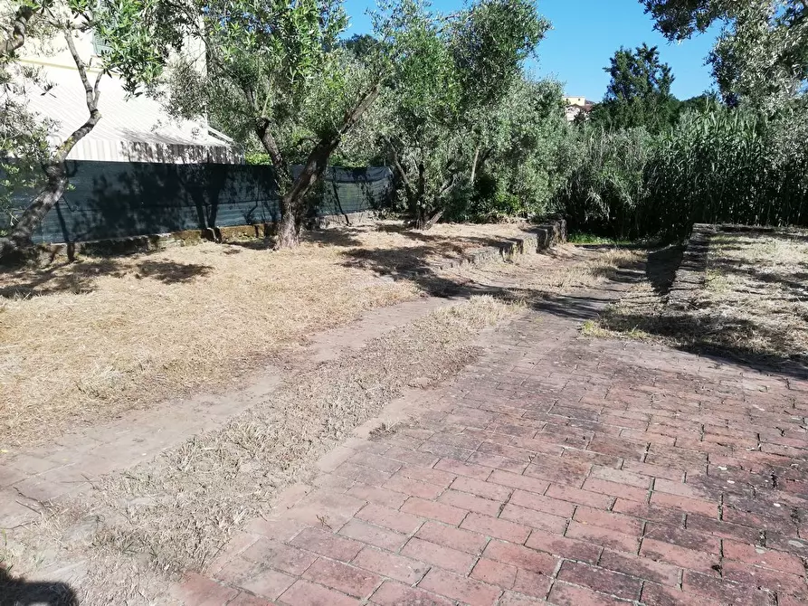 Immagine 79 di Casa indipendente in vendita  a Castelnuovo Magra