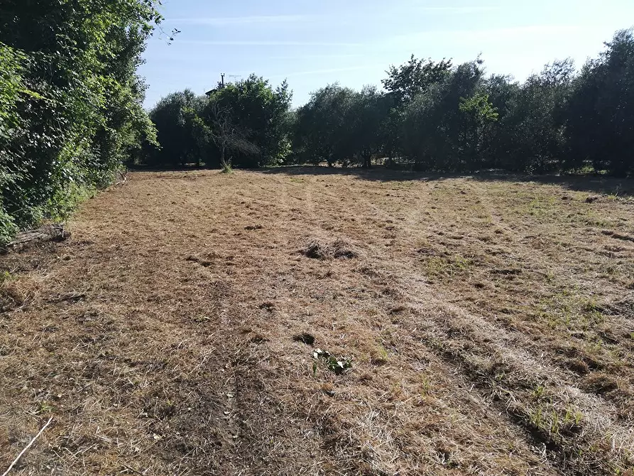 Immagine 73 di Casa indipendente in vendita  a Castelnuovo Magra