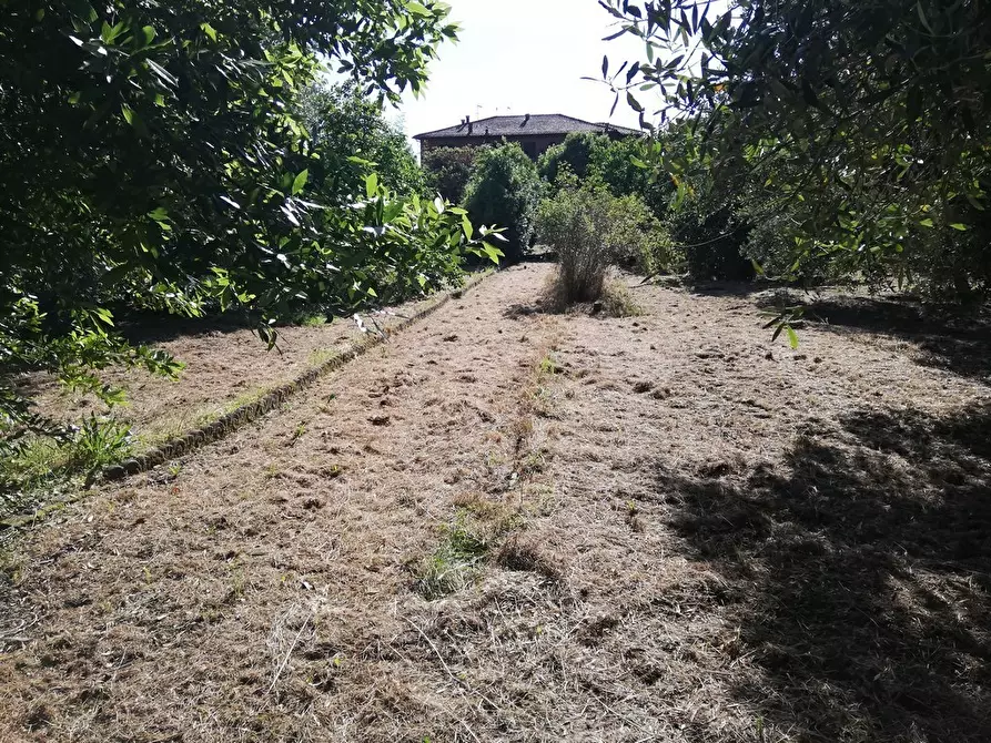 Immagine 71 di Casa indipendente in vendita  a Castelnuovo Magra