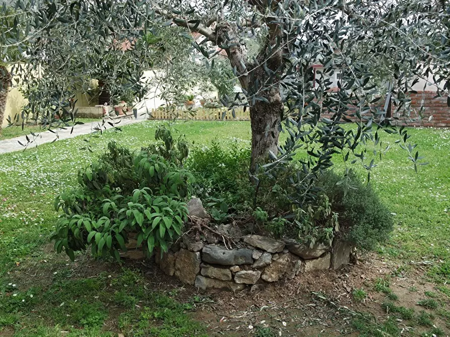 Immagine 41 di Casa semindipendente in vendita  a Ortonovo