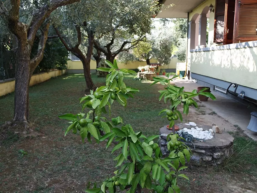 Immagine 5 di Casa indipendente in vendita  a Carrara