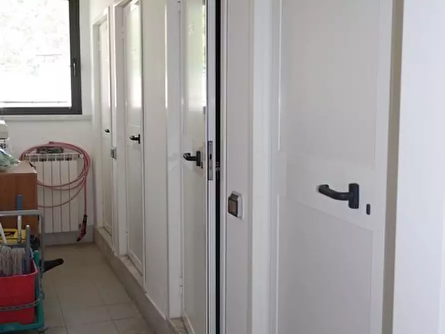 Immagine 8 di Capannone industriale in vendita  a Carrara