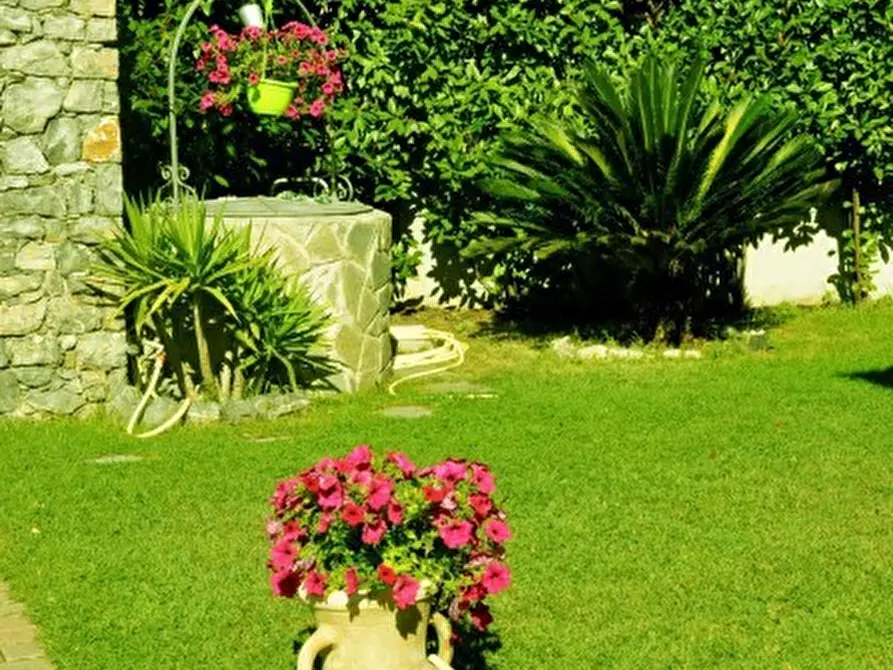 Immagine 14 di Terratetto in vendita  a Castelnuovo Magra