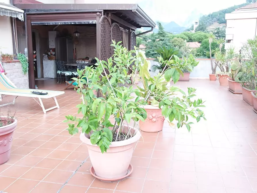 Immagine 33 di Appartamento in vendita  a Carrara