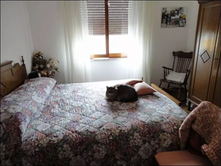 Immagine 8 di Appartamento in vendita  a Castelnuovo Magra