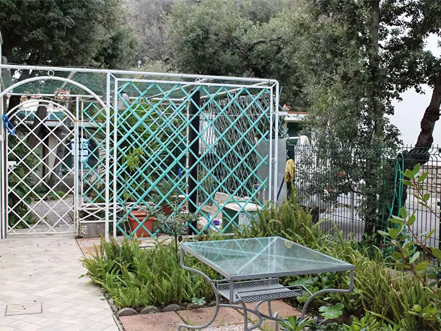 Immagine 18 di Appartamento in affitto  a San Vincenzo