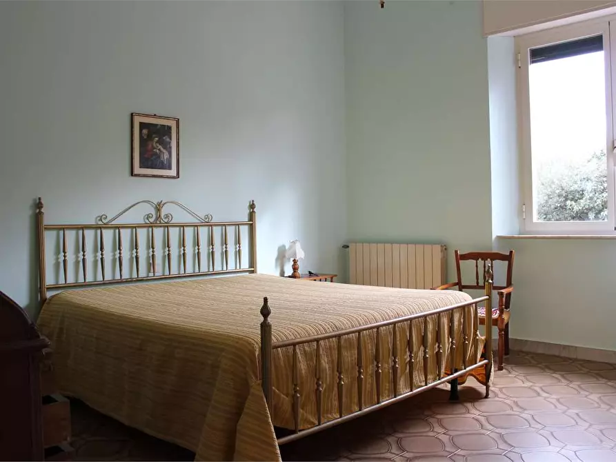 Immagine 9 di Appartamento in affitto  a San Vincenzo