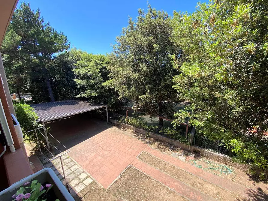 Immagine 20 di Casa bifamiliare in affitto  a San Vincenzo