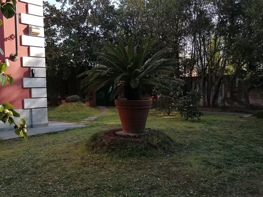 Immagine 3 di Casa indipendente in vendita  a Carrara