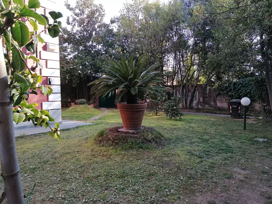 Immagine 4 di Casa indipendente in vendita  a Carrara