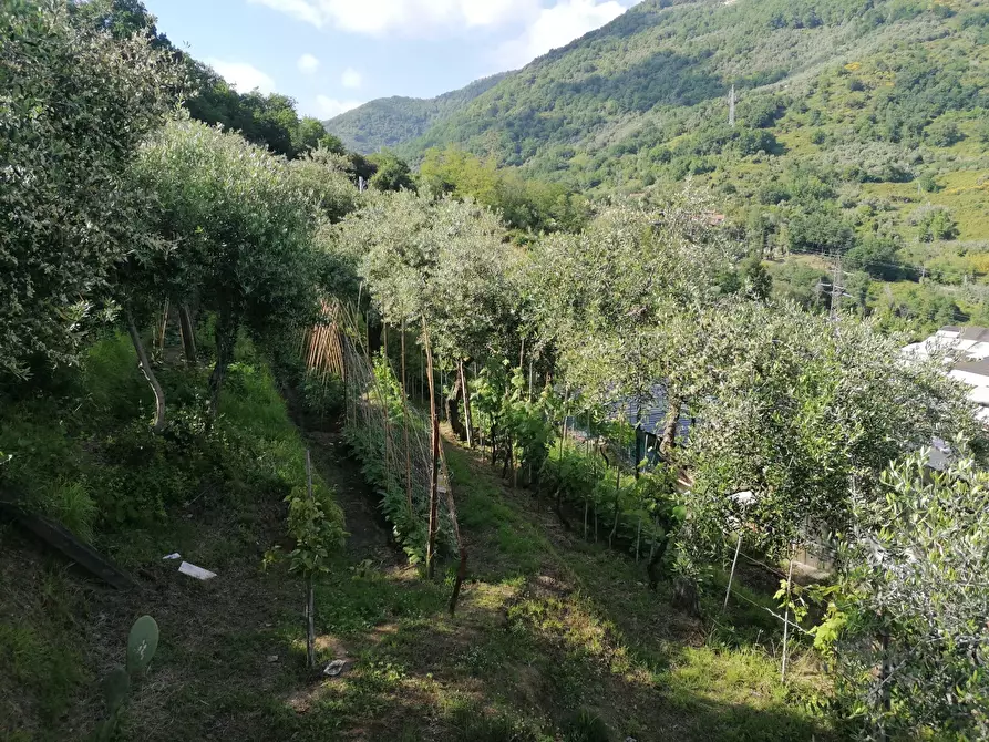 Immagine 36 di Casa indipendente in vendita  a Carrara