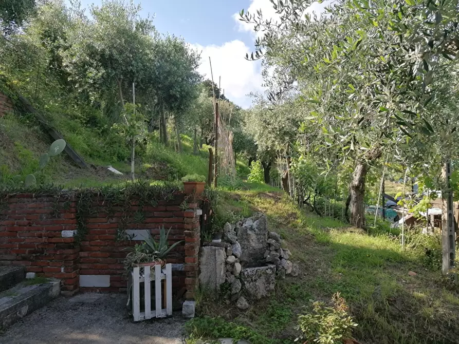 Immagine 40 di Casa indipendente in vendita  a Carrara