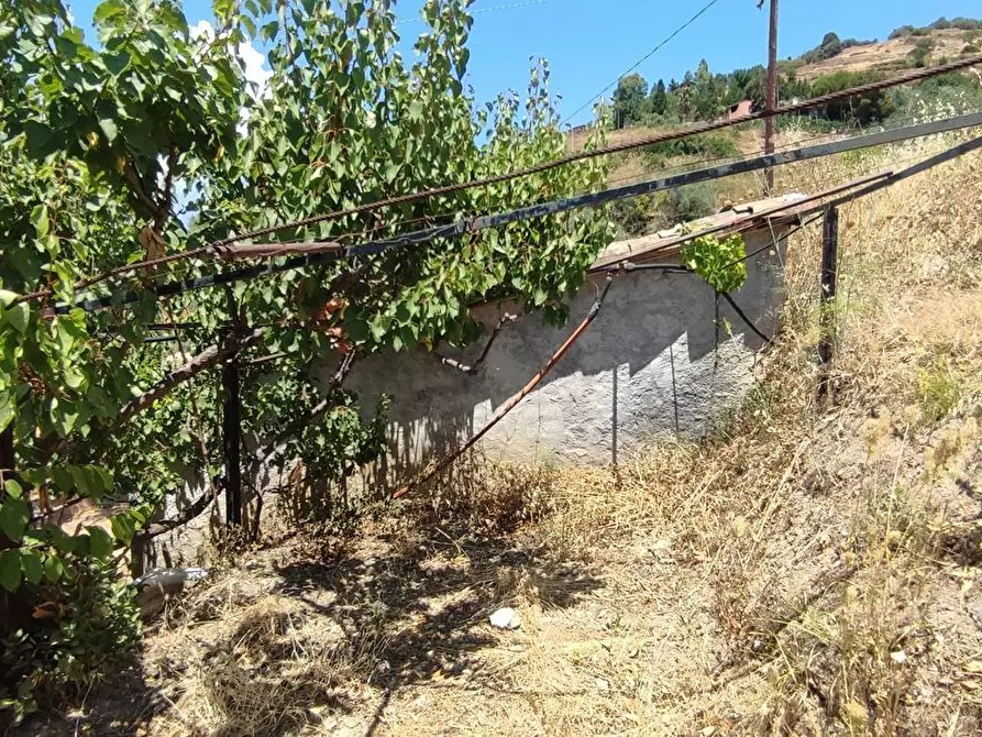 Immagine 22 di Rustico / casale in vendita  a Castelmola