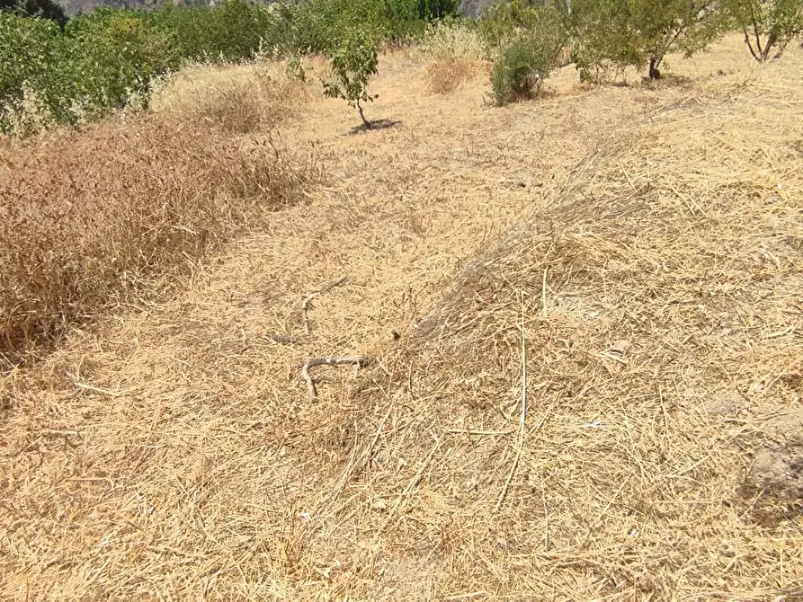 Immagine 15 di Rustico / casale in vendita  a Castelmola