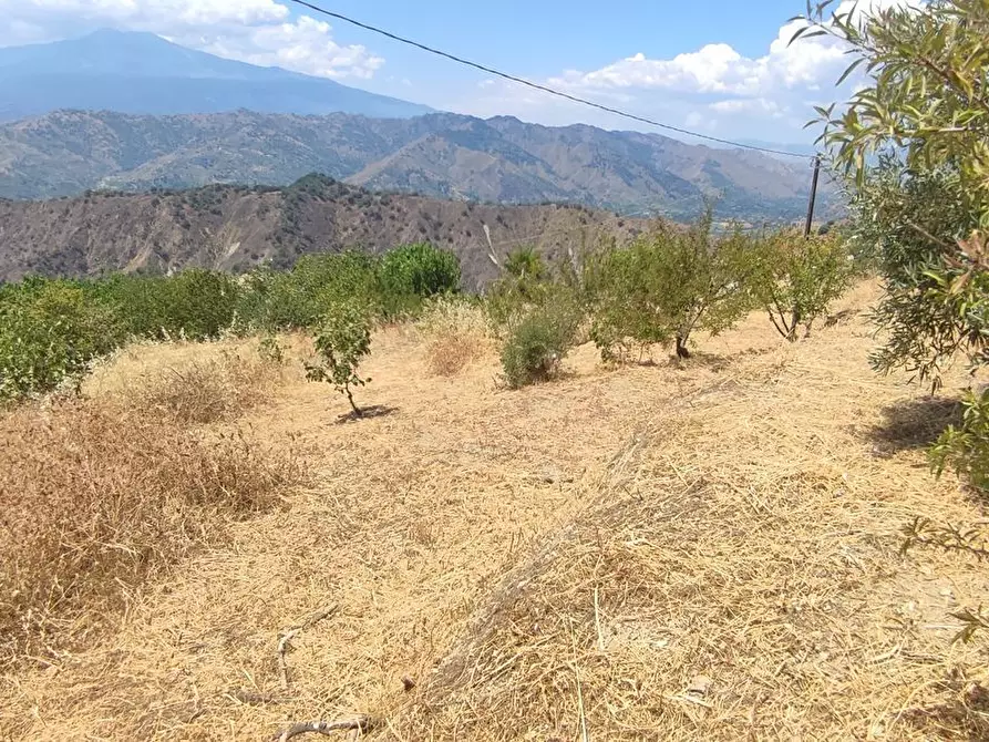 Immagine 18 di Rustico / casale in vendita  a Castelmola