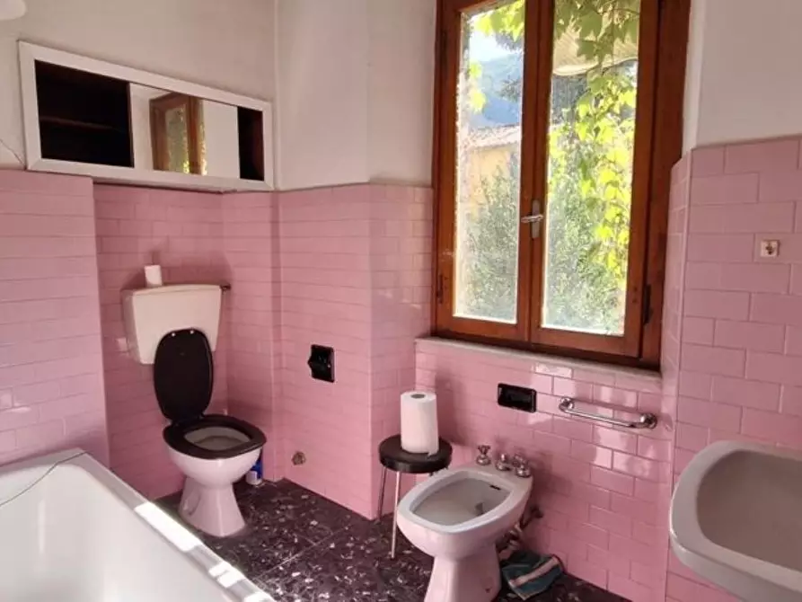 Immagine 23 di Villa in vendita  a Borgo A Mozzano