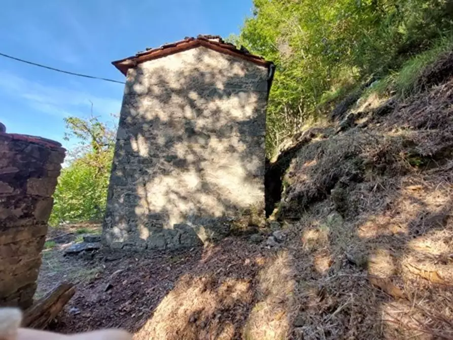 Immagine 11 di Rustico / casale in vendita  a Bagni Di Lucca