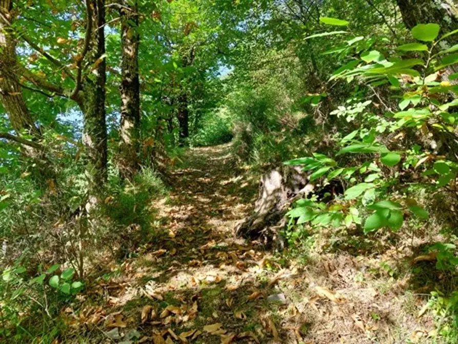 Immagine 7 di Rustico / casale in vendita  a Bagni Di Lucca
