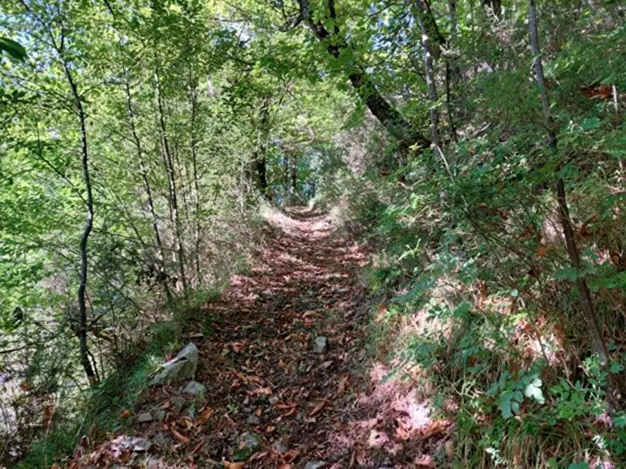 Immagine 6 di Rustico / casale in vendita  a Bagni Di Lucca