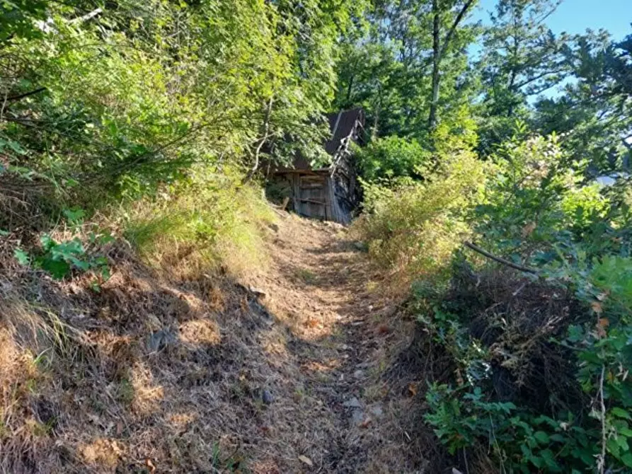 Immagine 8 di Rustico / casale in vendita  a Bagni Di Lucca