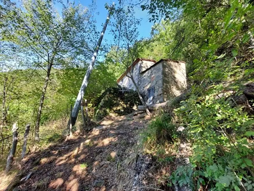 Immagine 9 di Rustico / casale in vendita  a Bagni Di Lucca