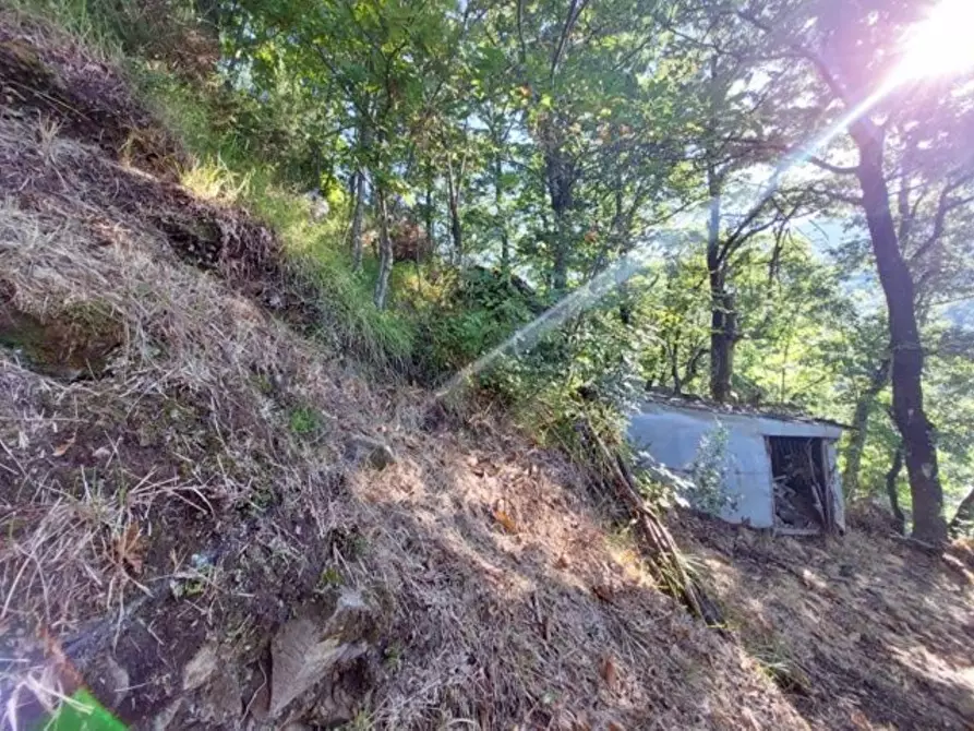 Immagine 5 di Rustico / casale in vendita  a Bagni Di Lucca