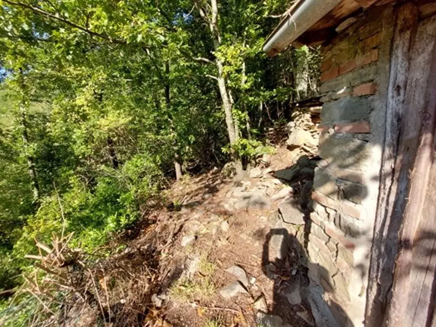 Immagine 2 di Rustico / casale in vendita  a Bagni Di Lucca