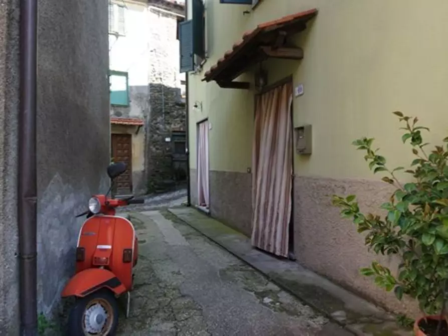 Immagine 1 di Terratetto in vendita  a Borgo A Mozzano