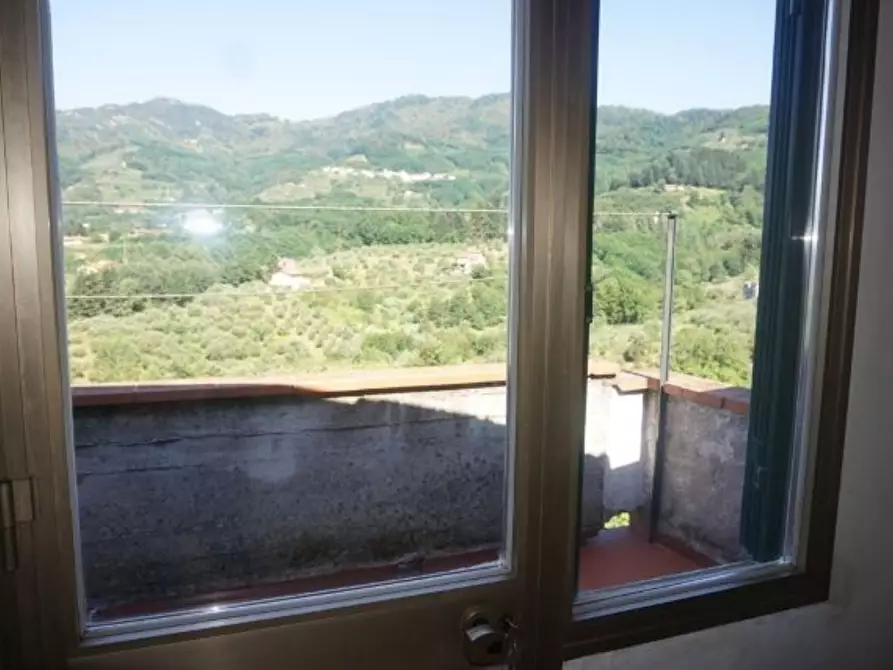 Immagine 6 di Terratetto in vendita  a Borgo A Mozzano