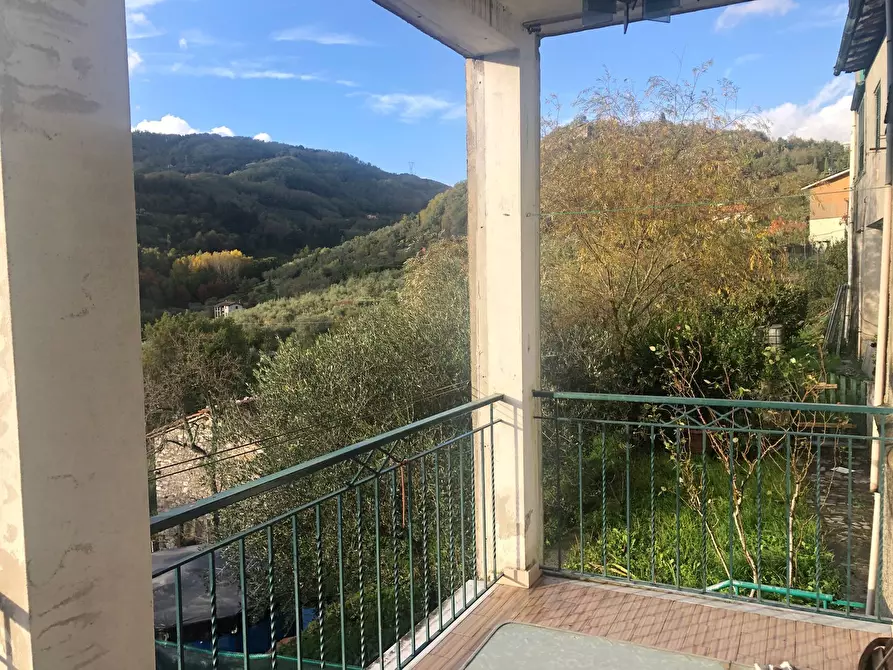 Immagine 9 di Terratetto in vendita  a Borgo A Mozzano