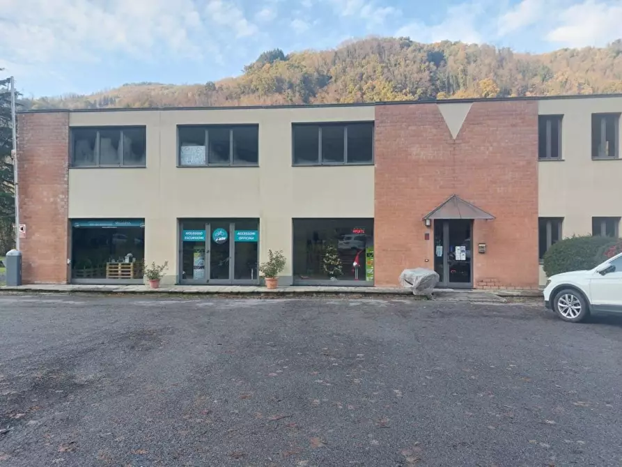 Immagine 1 di Capannone industriale in vendita  a Bagni Di Lucca