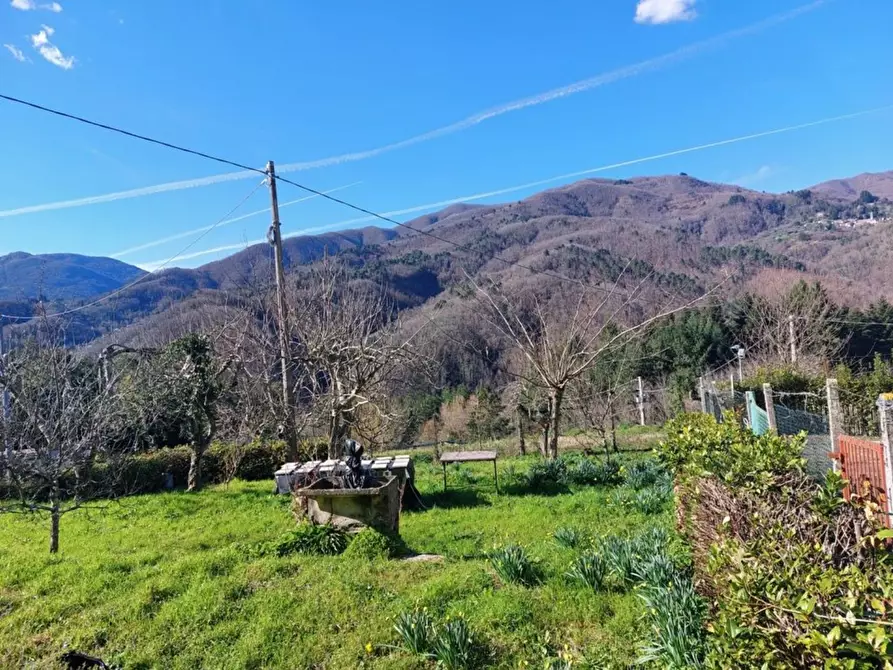 Immagine 6 di Appartamento in vendita  a Pescaglia