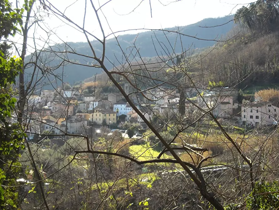 Immagine 3 di Terratetto in vendita  a Borgo A Mozzano