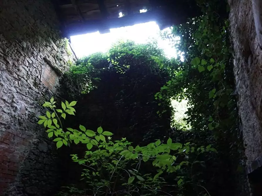 Immagine 8 di Terratetto in vendita  a Pescaglia