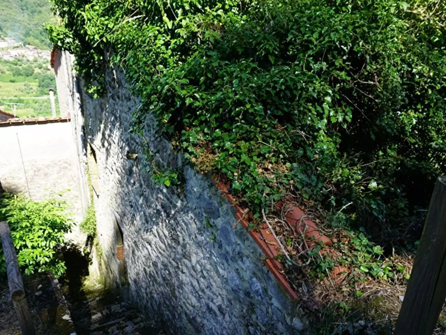 Immagine 7 di Terratetto in vendita  a Pescaglia