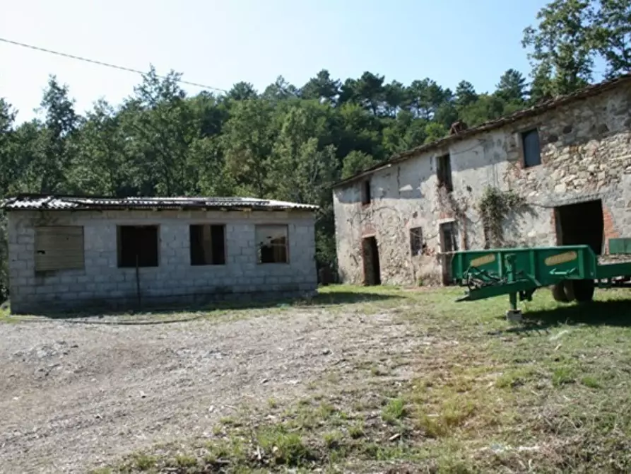 Immagine 1 di Casa colonica in vendita  a Borgo A Mozzano