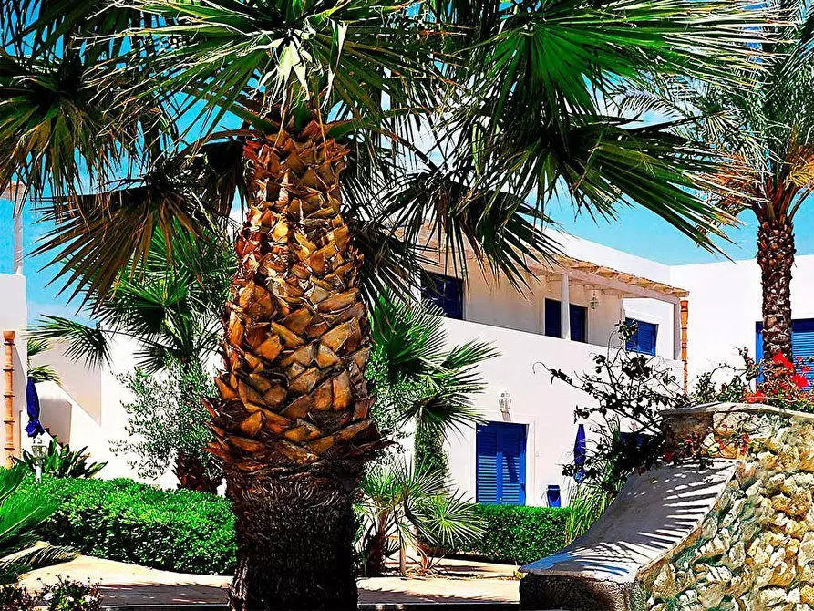 Immagine 6 di Appartamento in vendita  a Favignana