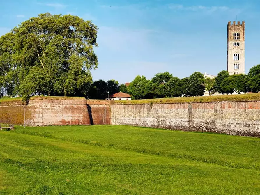 Immagine 9 di Locale commerciale in vendita  a Lucca