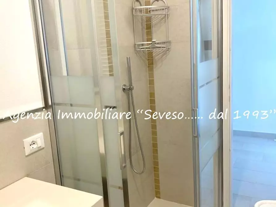 Immagine 23 di Villa in affitto  a Pietrasanta