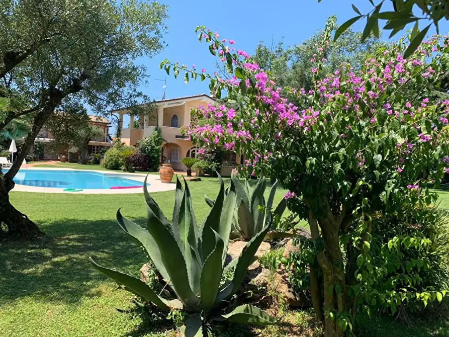 Immagine 20 di Villa in affitto  a Pietrasanta