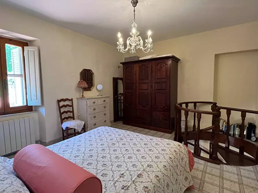 Immagine 10 di Rustico / casale in vendita  a Pietrasanta