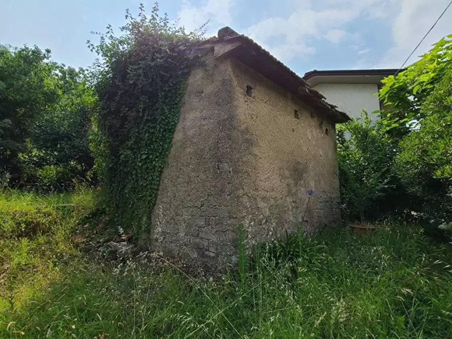 Immagine 16 di Rustico / casale in vendita  a Pietrasanta